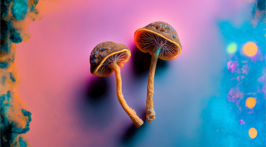 How To Heal Emotionally With Psilocybin Mushrooms - Third Wave
