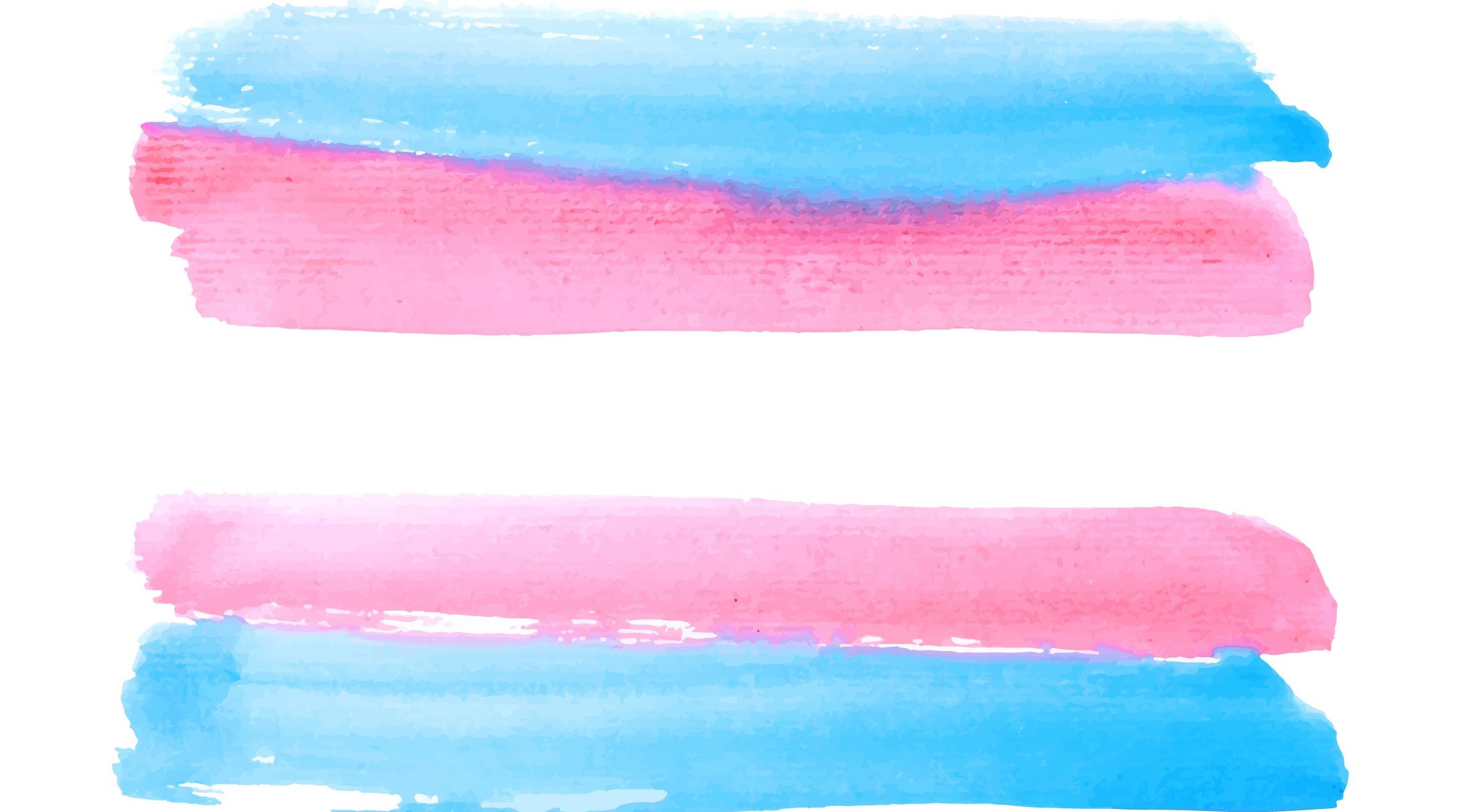 Trans flag