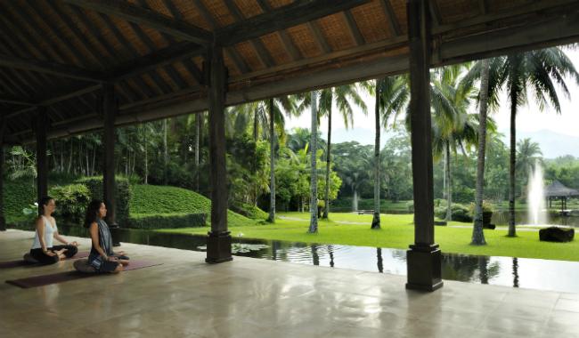 The Farm 1